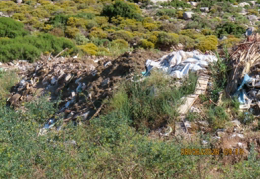 Ρίκες