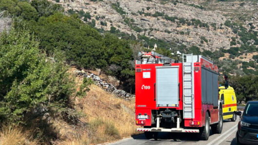 Αντιπυρική περίοδος 2026: Λιγότερες ενάρξεις πυρκαγιών και μειωμένες καμένες εκτάσεις