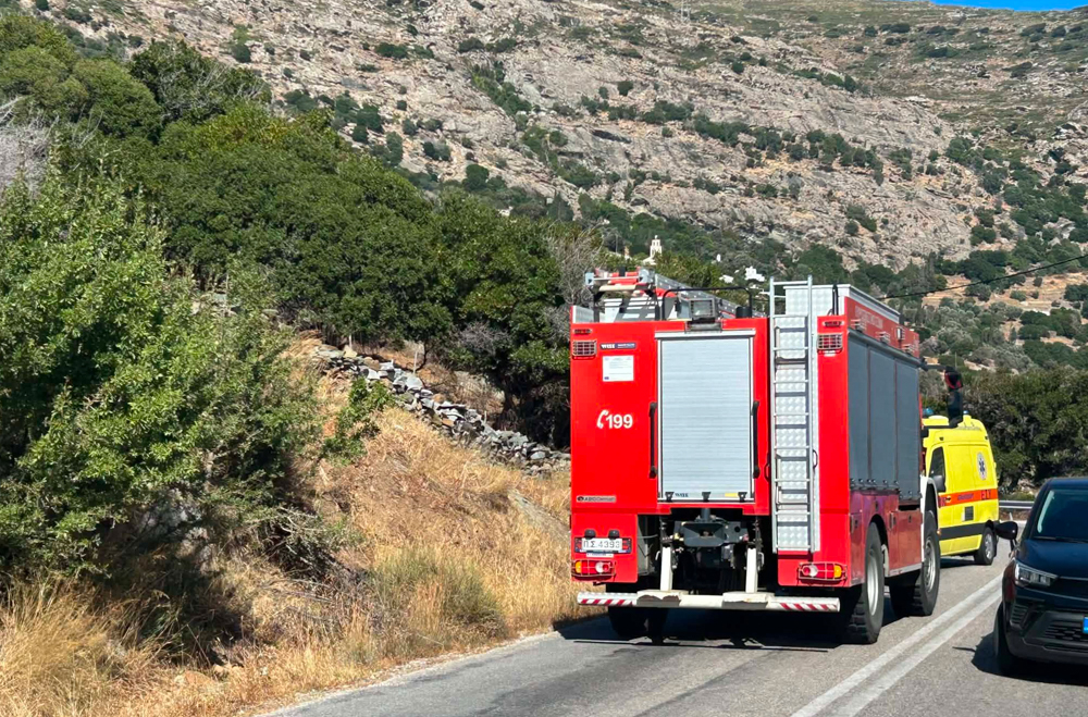 φωτιά Άνδρος
