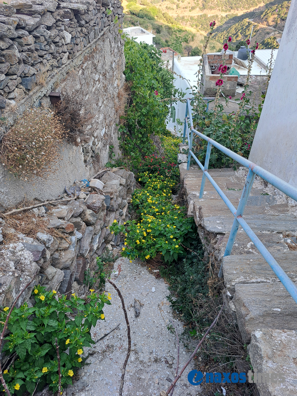 Κωμιακή ψωμί