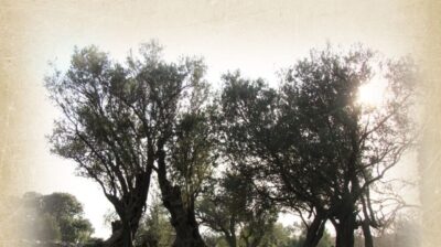 Νάξος: «101 χρόνια ελληνικό τραγούδι» στη Βρύση Αδησαρού – Από τον Αττίκ στον Μάνο