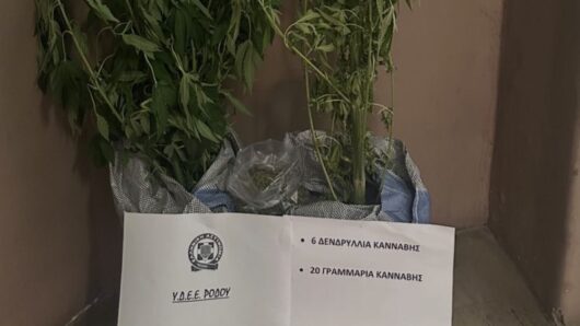 Ρόδος: Συνελήφθη 50χρονος για καλλιέργεια κάνναβης – Κατασχέθηκαν έξι δενδρύλλια