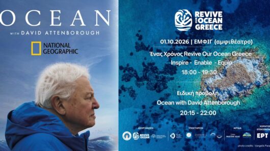 Ένας χρόνος Revive Our Ocean Greece: Στο επίκεντρο τα νέα Θαλάσσια Πάρκα Αιγαίου και Ιονίου