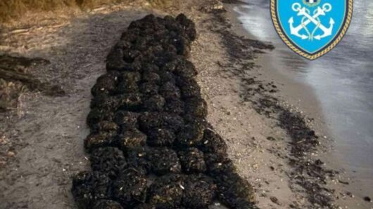 Πάρος: Συνελήφθη 57χρονος για παράνομη οστρακοαλιεία – Κατασχέθηκαν 1.570 κιλά οστράκων