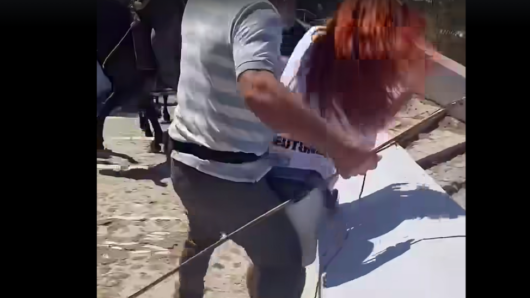 Σαντορίνη: Η PETA καταγγέλλει επίθεση αγωγιατών σε τρεις ακτιβίστριες – Βίντεο από το περιστατικό