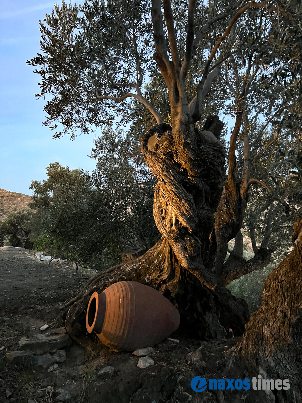 Ρεμπούτσικα Μια βραδιά κάτω από την ελιά