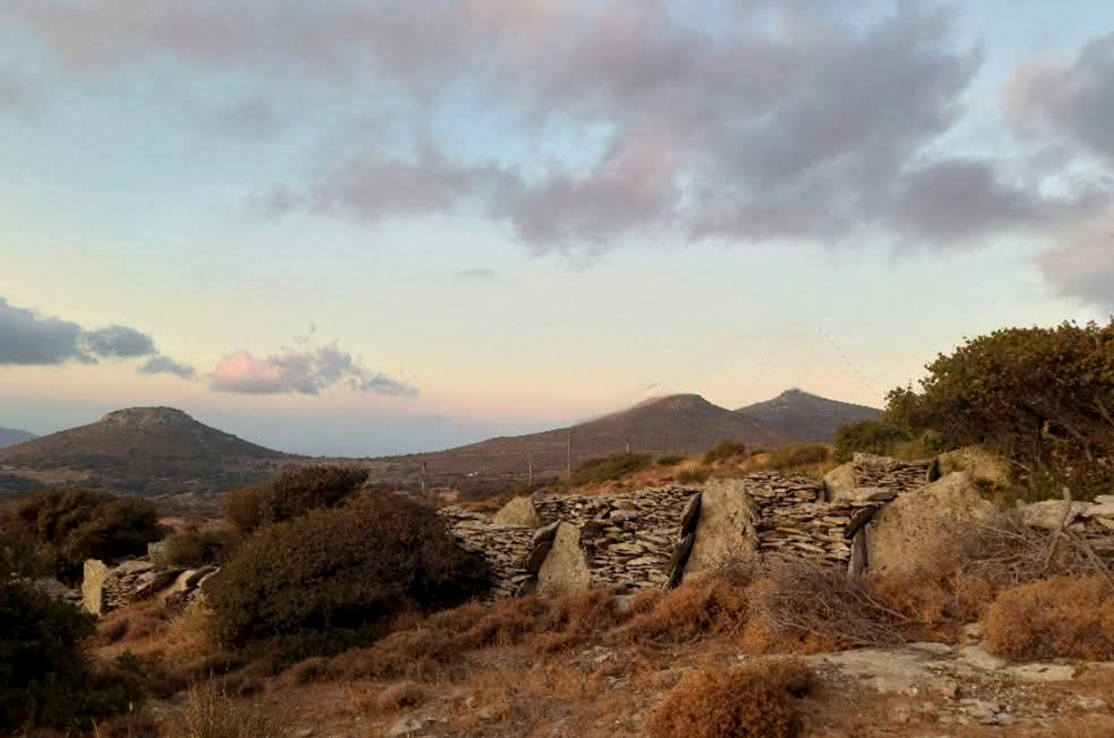 Βουνί Άνδρου