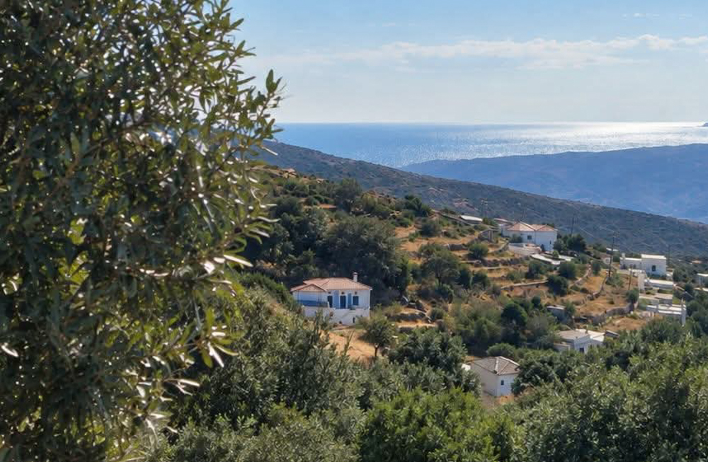 Βουνί Άνδρου